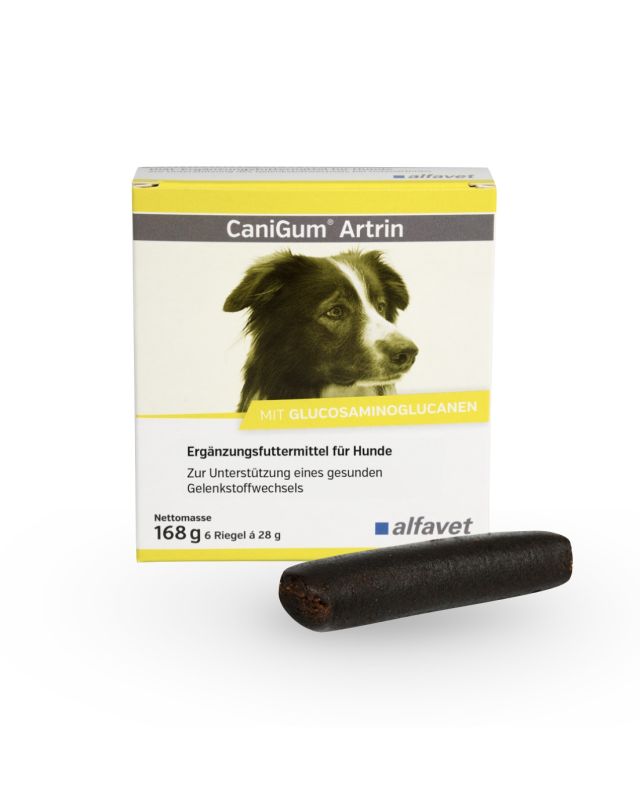 Canigum Artin